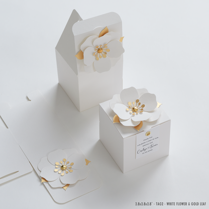 White favor boxes